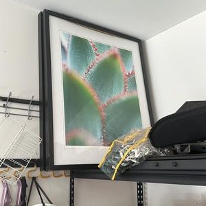 2 pictures in frames 100cm x 50cm
